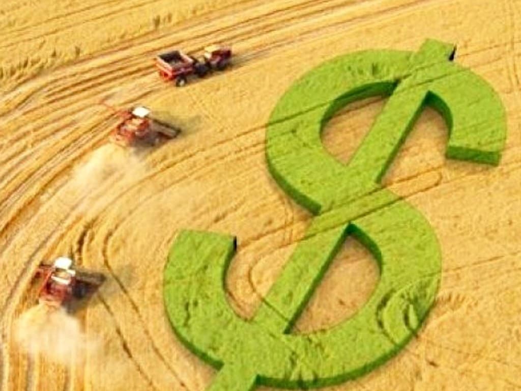 Campo agrícola com símbolo de investimento